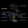 image:imageLogitech G Pro Wireless Gaming Mouse with Esports Grade PerformanceBlack